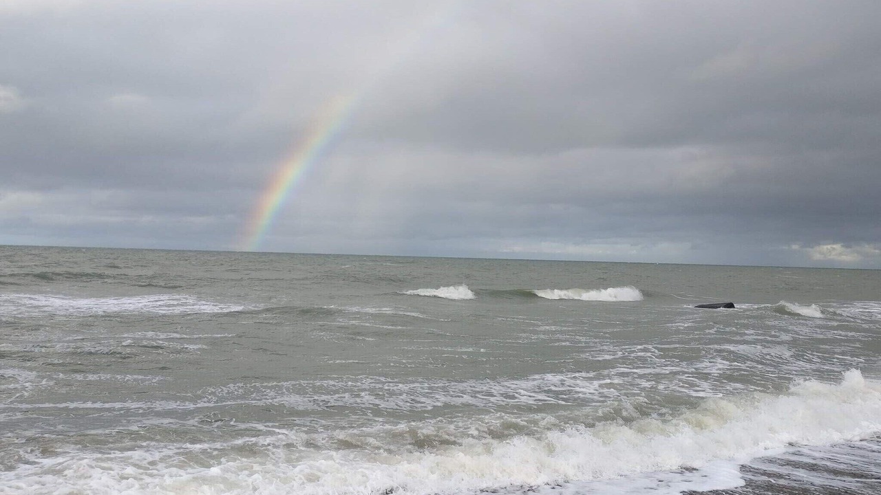 Photo of Others in Lild Strand
