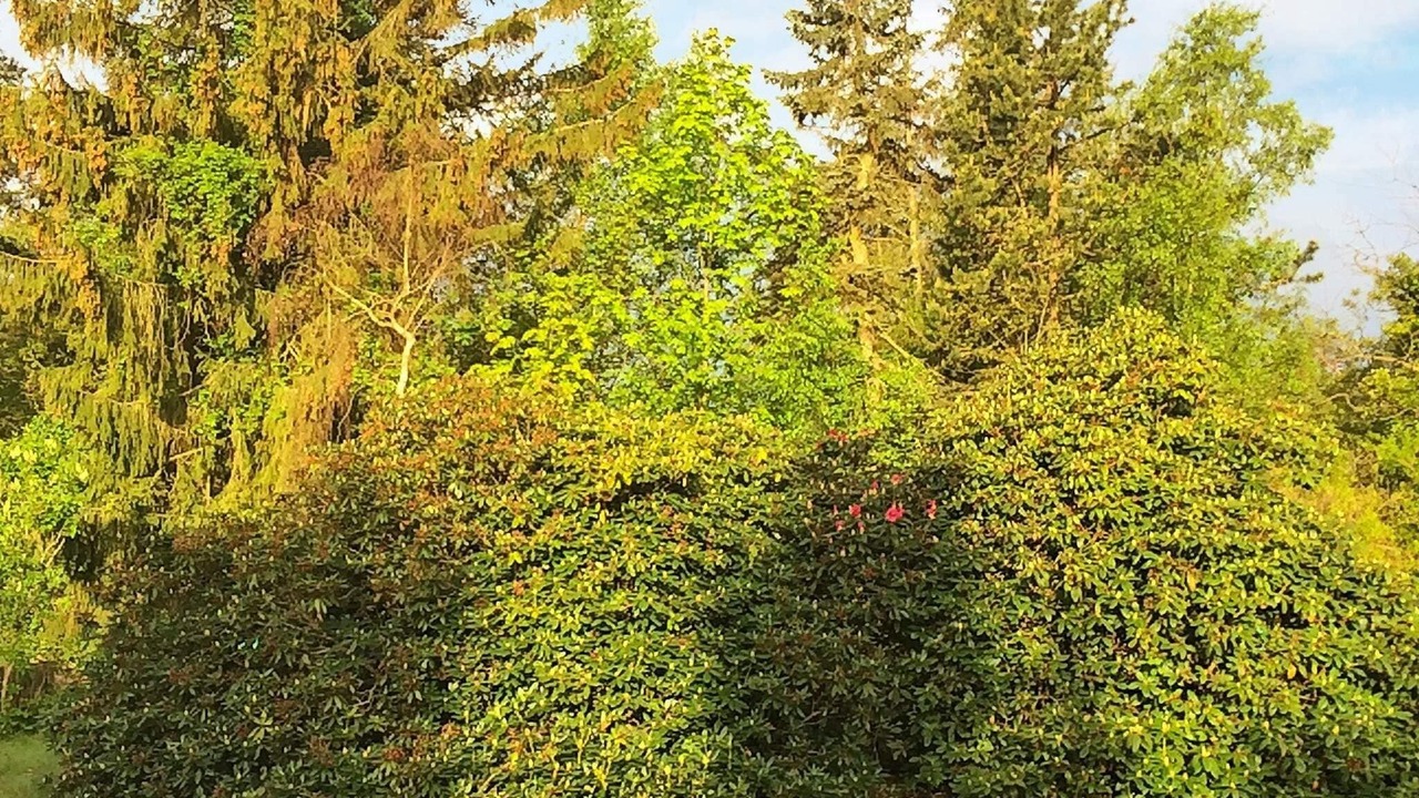 Photo of Others in Liseleje