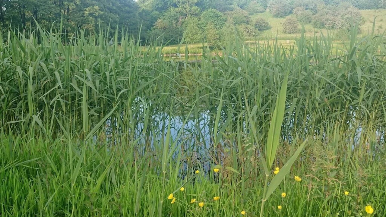 Photo of Others in Lunderskov