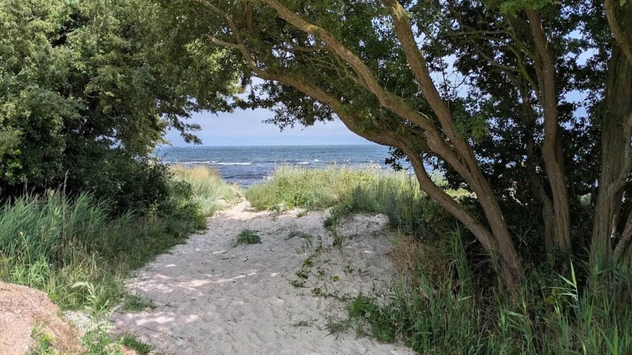 Photo of Others in Bøtø By
