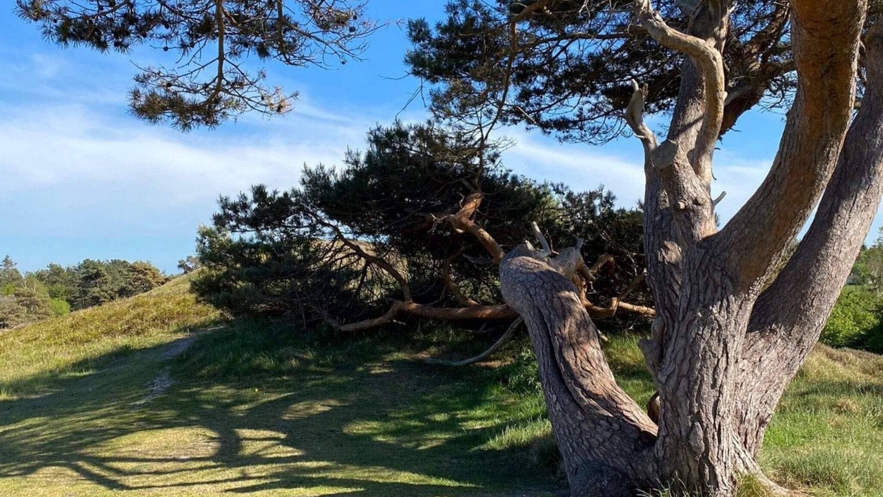 Photo of Others in Vejby