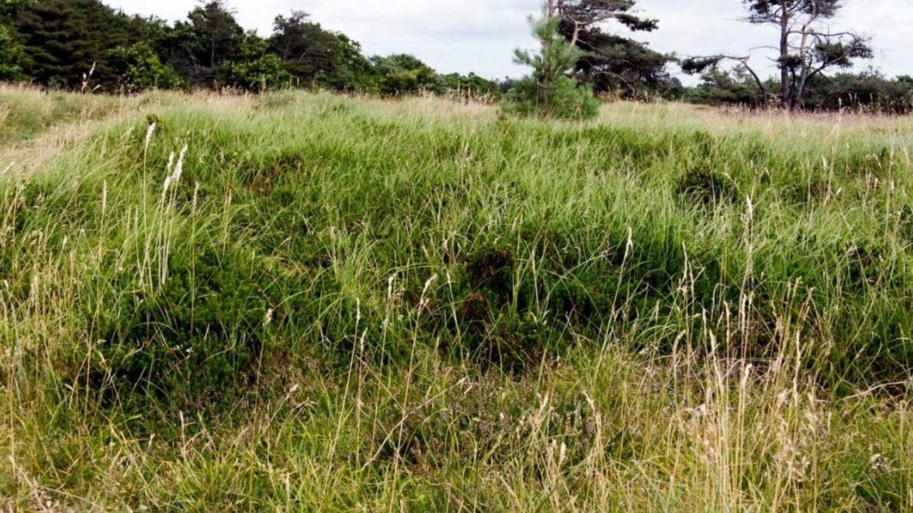 Photo of Others in Vejby