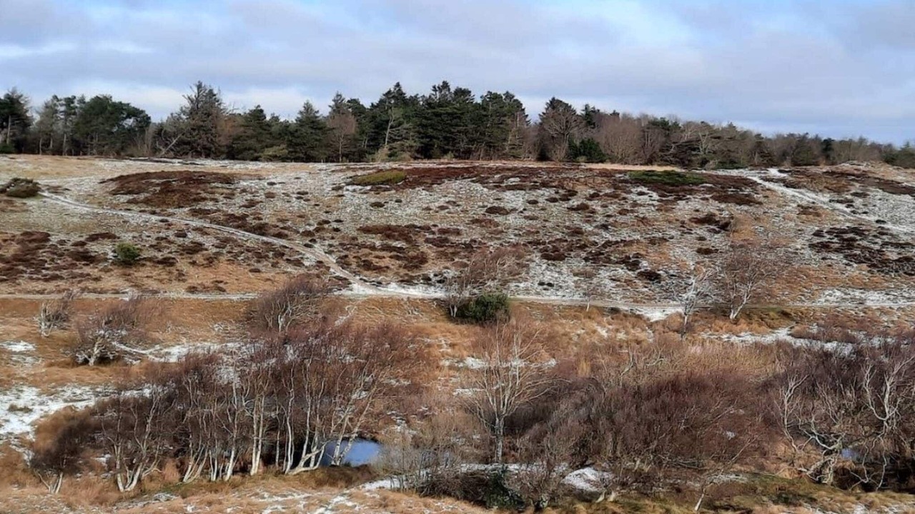Photo of Others in Vejby
