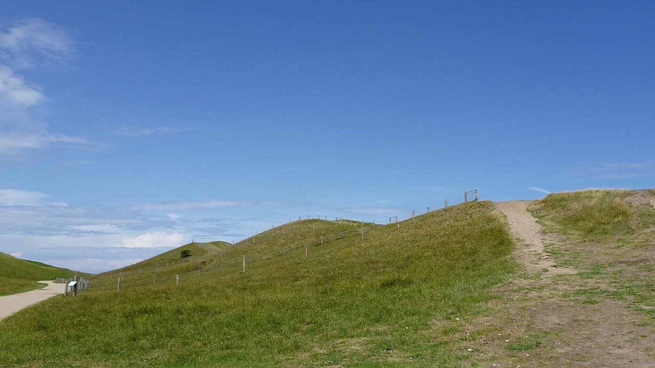 Photo of Others in Holloselund