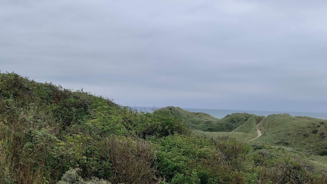 Photo of Others in Hirtshals