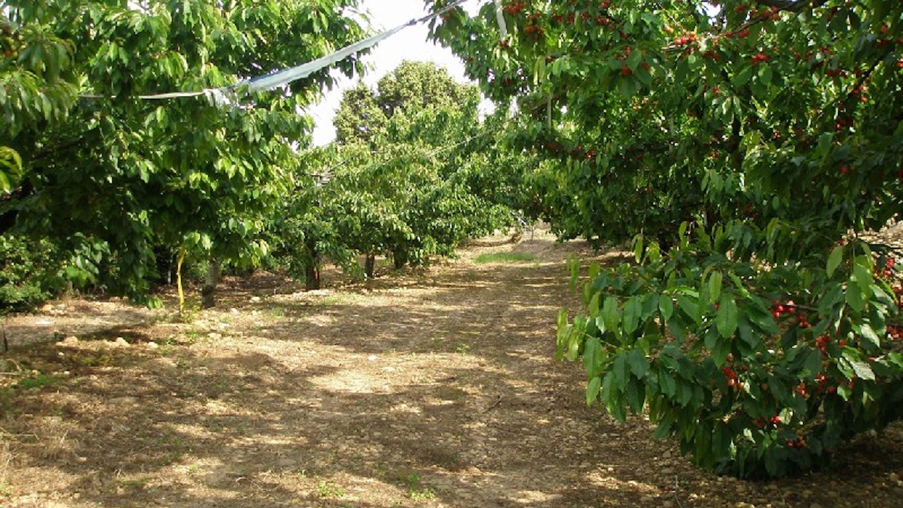 Photo of Outdoor in Beaucaire