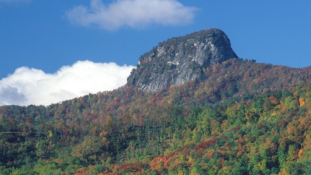 Photo of Outdoor in Newland
