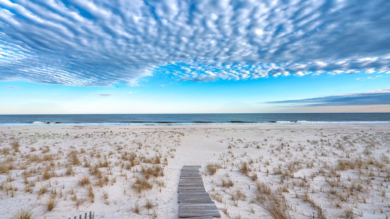 Photo of Others in West Hampton Dunes