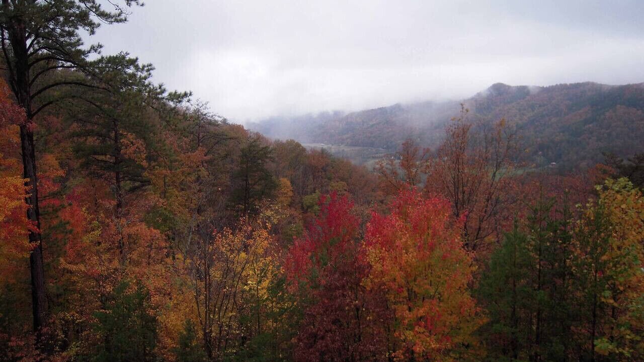 Photo of Others in Sevierville