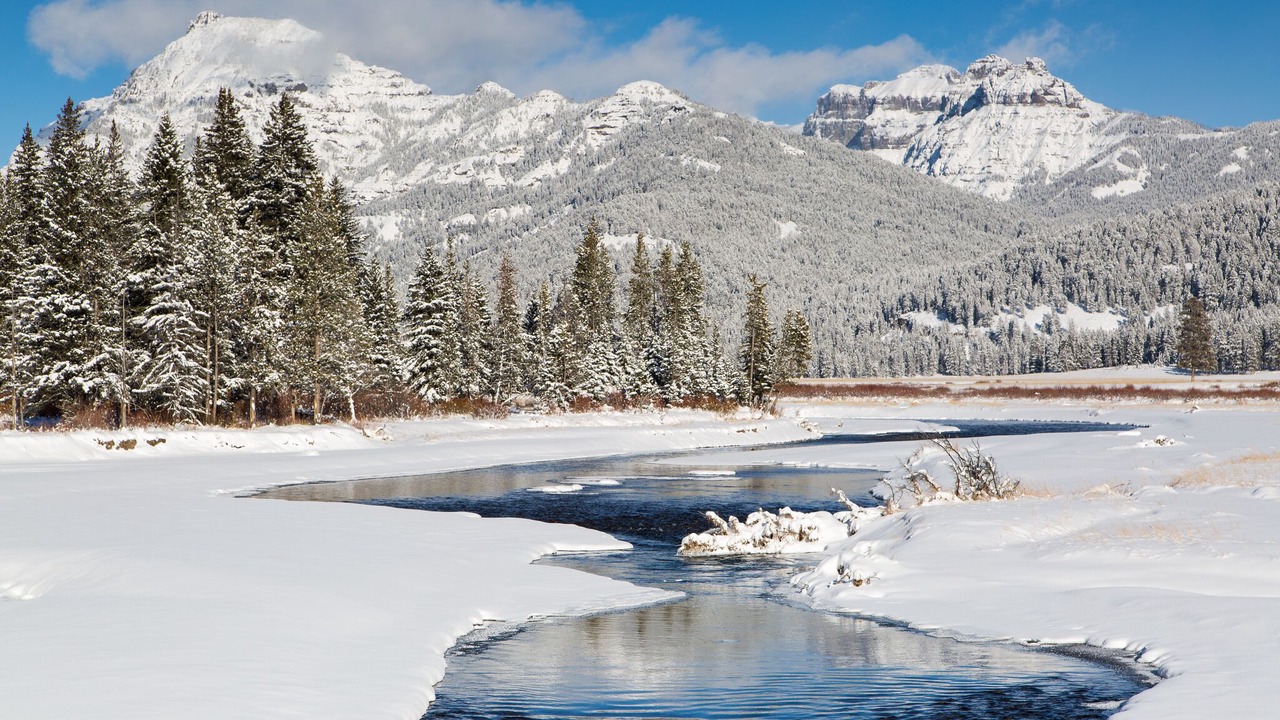 Photo of Others in Cooke City-Silver Gate