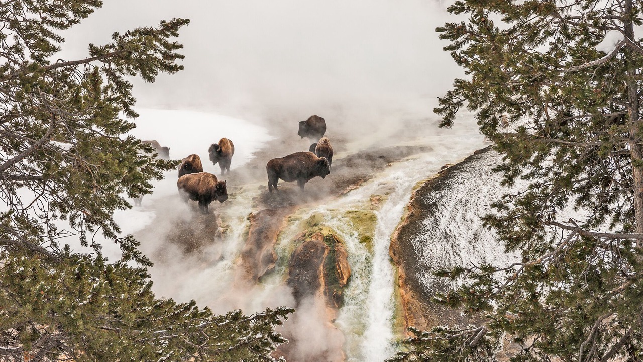Photo of Outdoor in Cooke City-Silver Gate