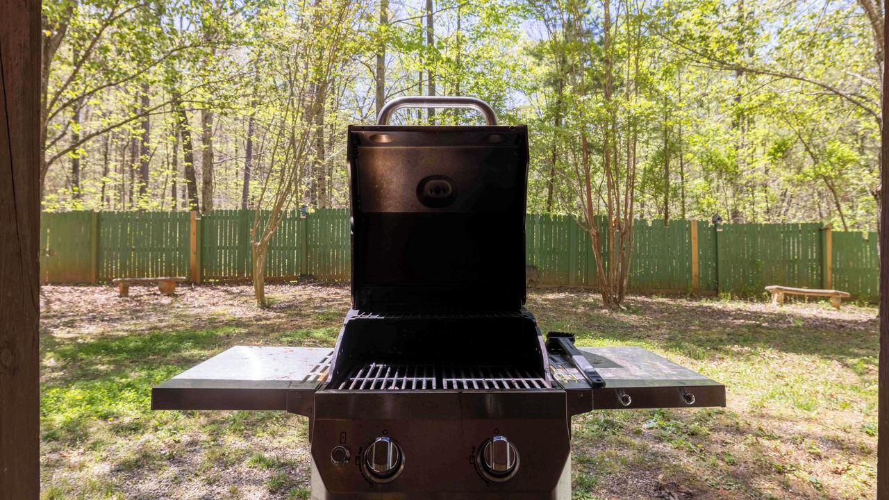 Photo of Outdoor in Clarkesville