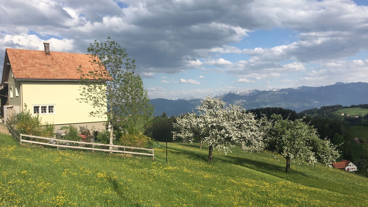 Photo of Outdoor in Reute