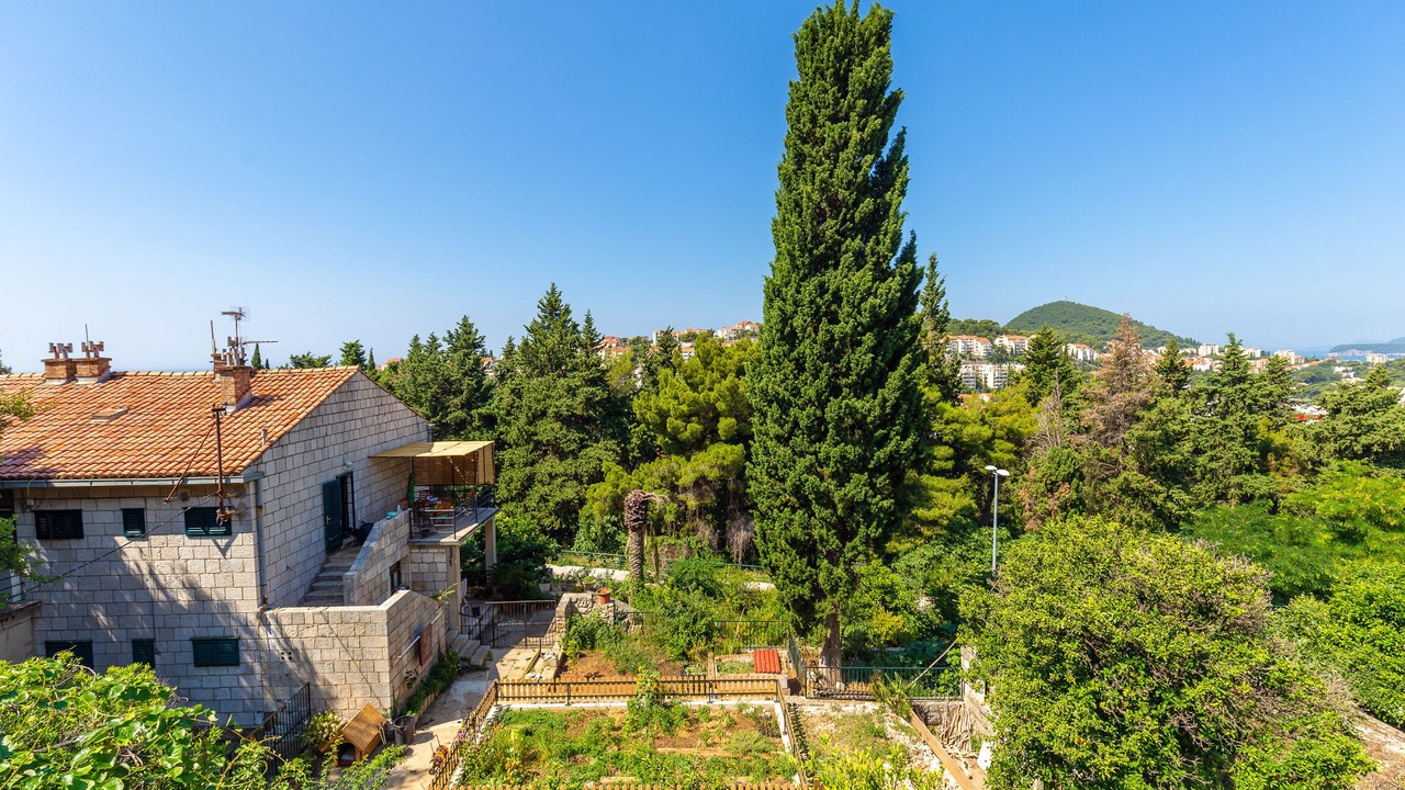 Photo of Outdoor in Gornji Kono