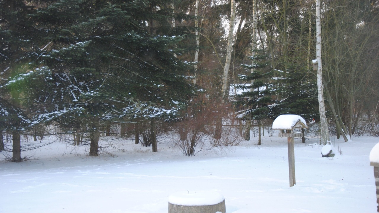 Photo of Outdoor in Ristinge