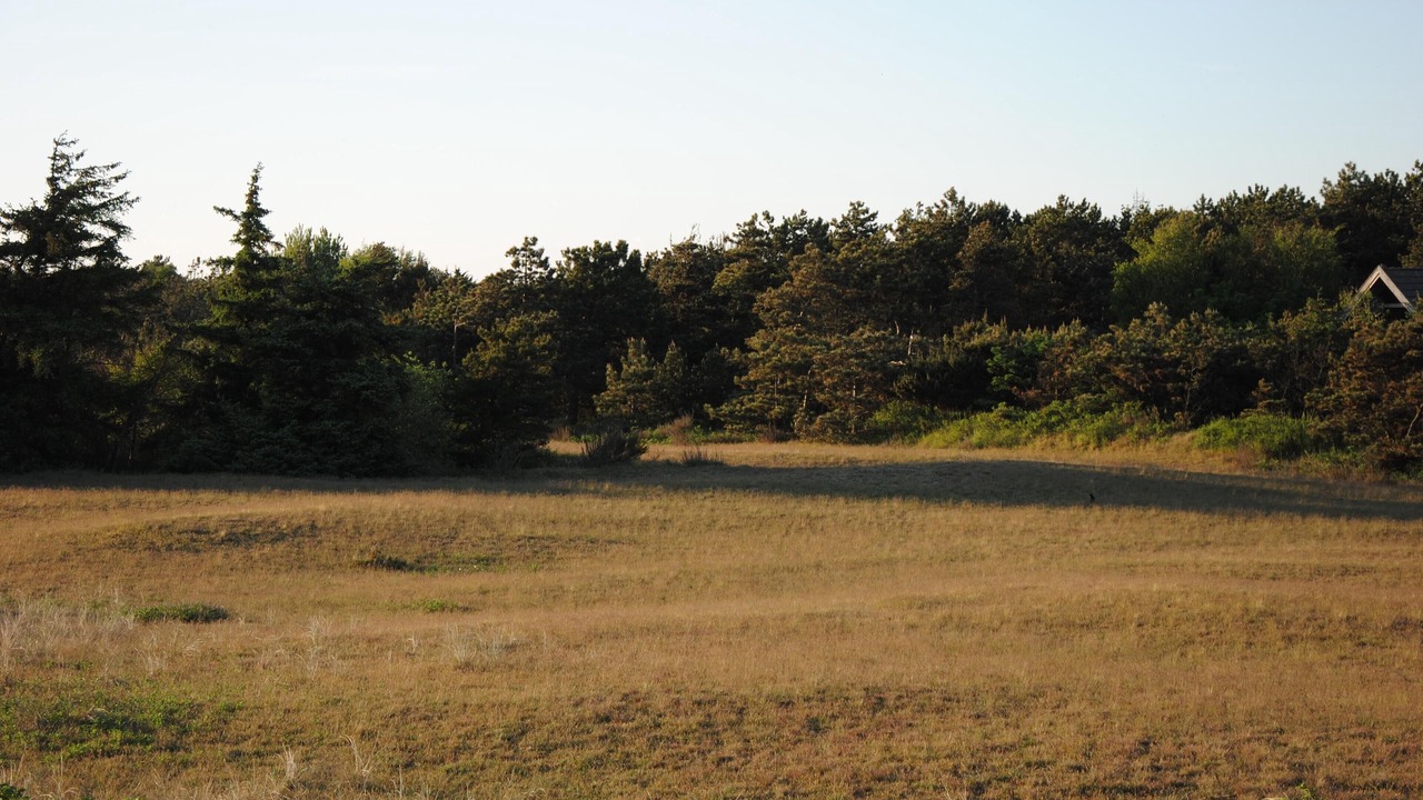 Photo of Outdoor in Ristinge