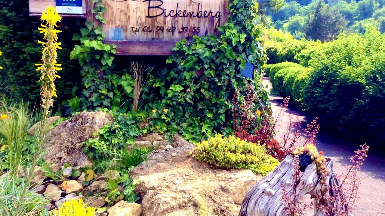 Photo of Outdoor in Osenbach