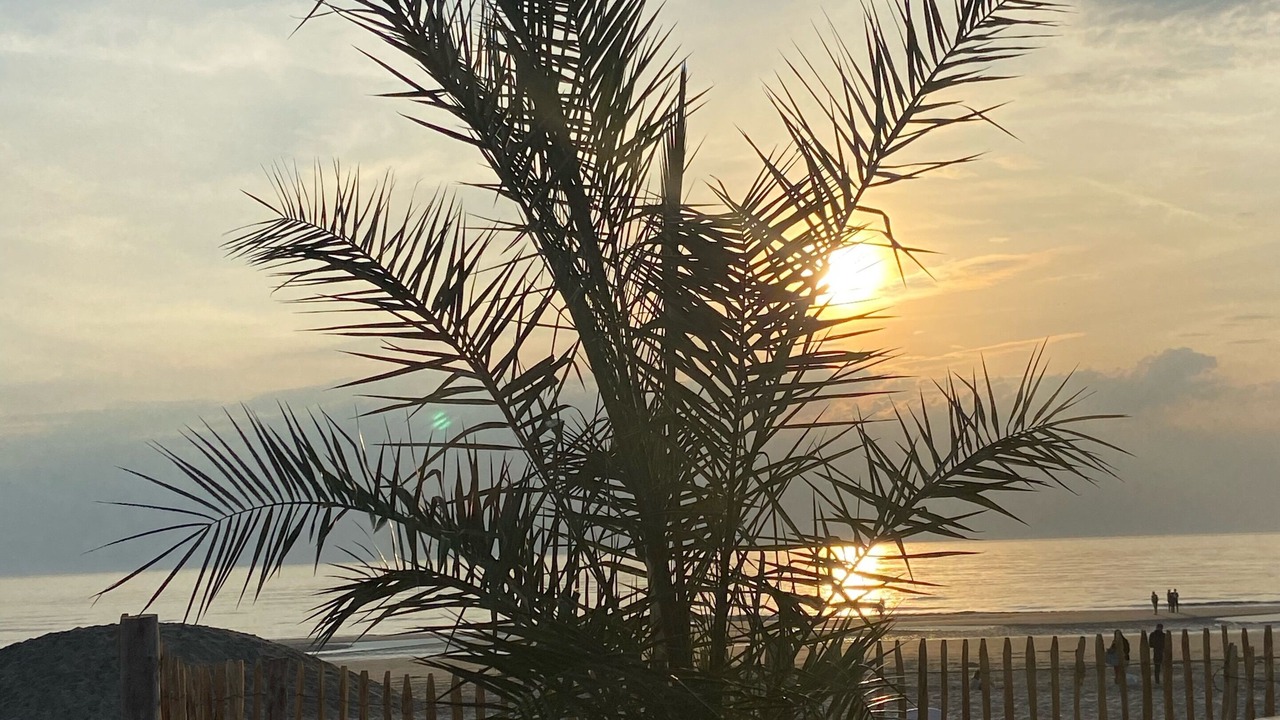 Photo of Outdoor in Fort-Mahon-Plage