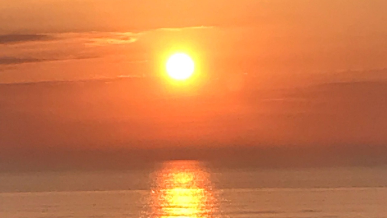 Photo of Others in Fort-Mahon-Plage