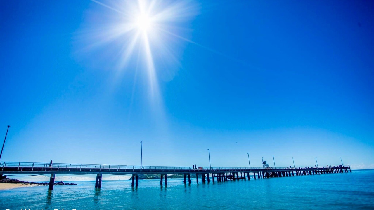 Photo of Others in Palm Cove