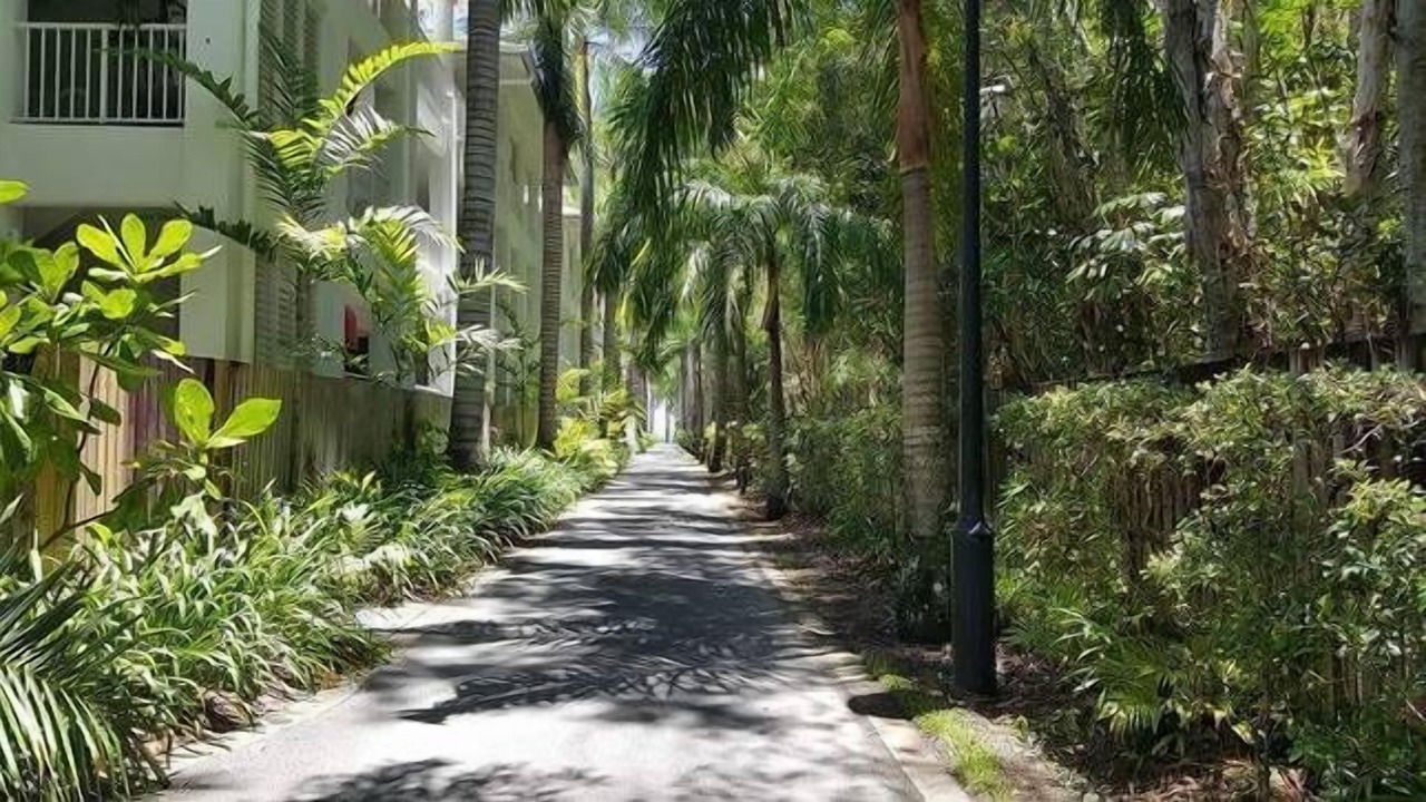 Photo of Others in Palm Cove