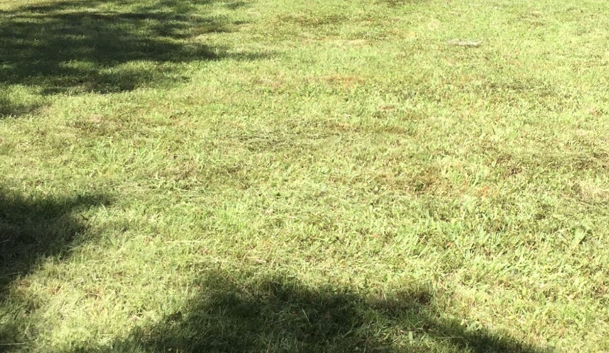 Photo of Outdoor in Downsville
