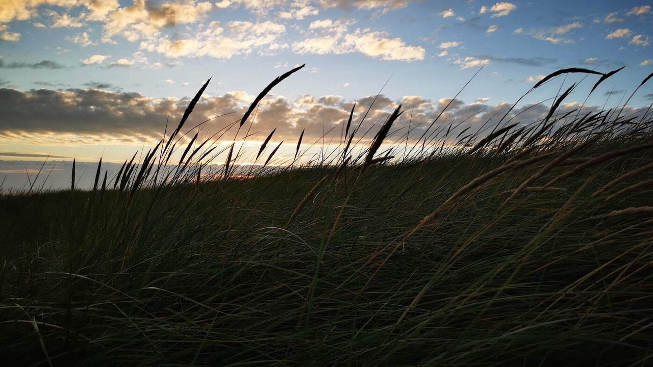 Photo of Others in Blavand Strand