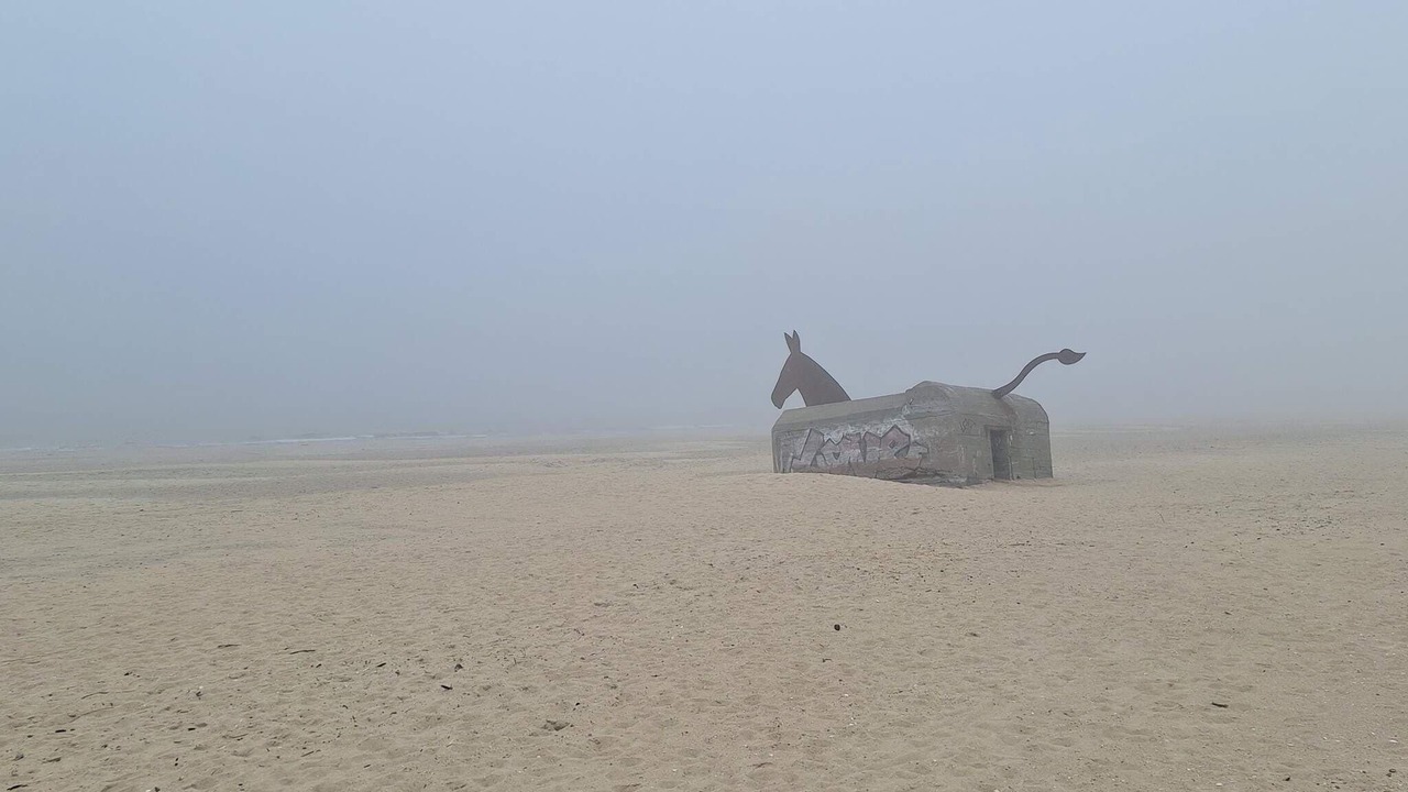 Photo of Others in Blavand Strand