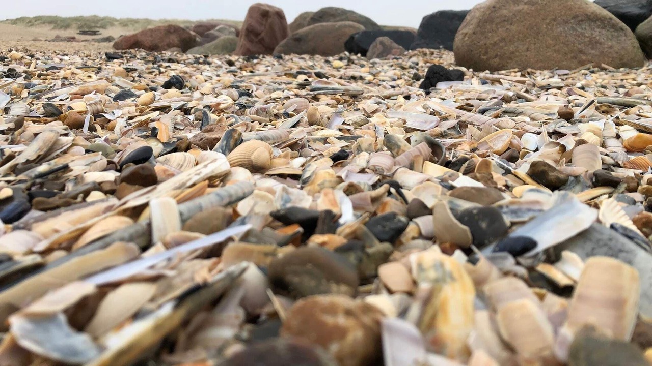 Photo of Others in Blavand Strand