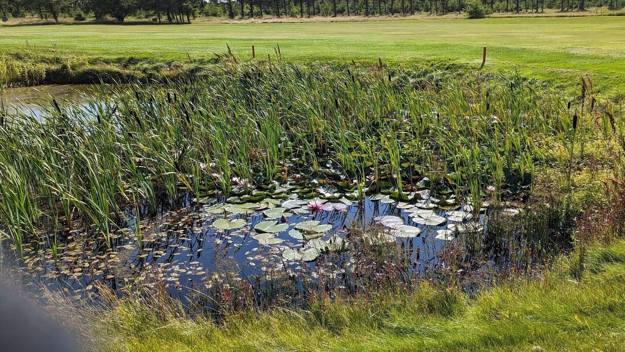 Photo of Others in Lokken