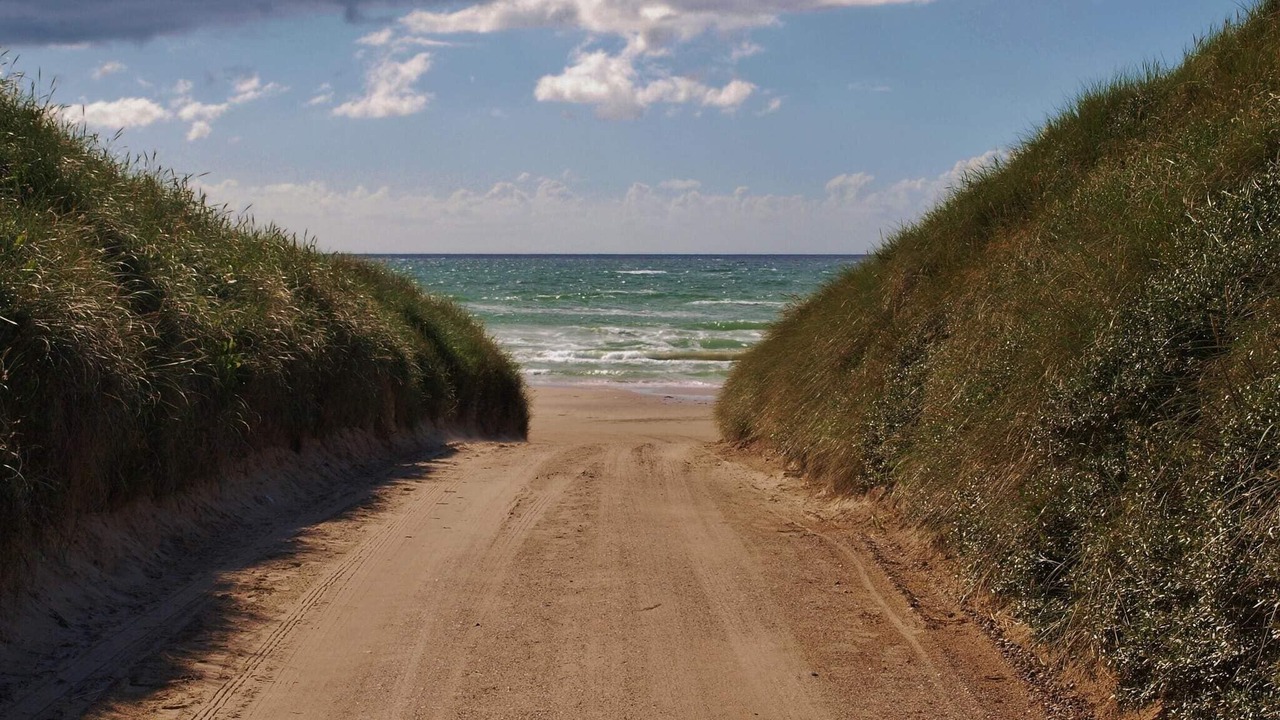 Photo of Outdoor in Blokhus