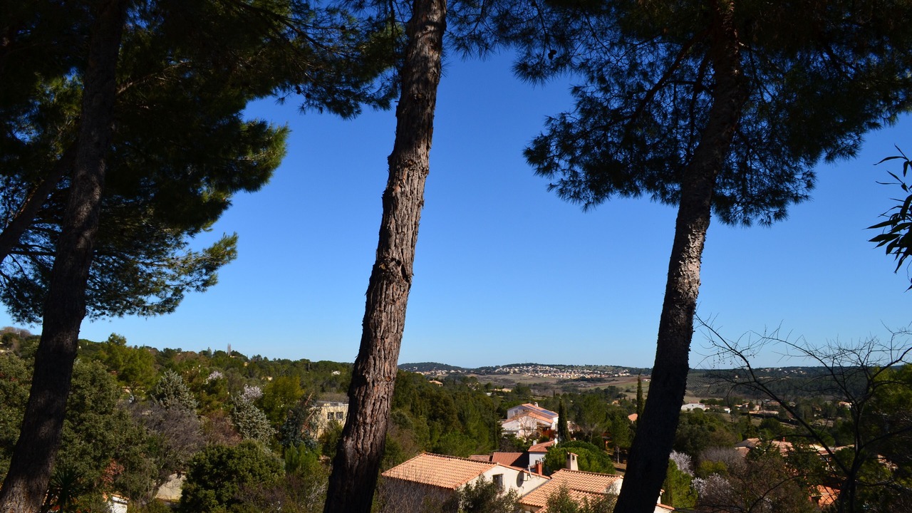 Photo of Outdoor in Combaillaux