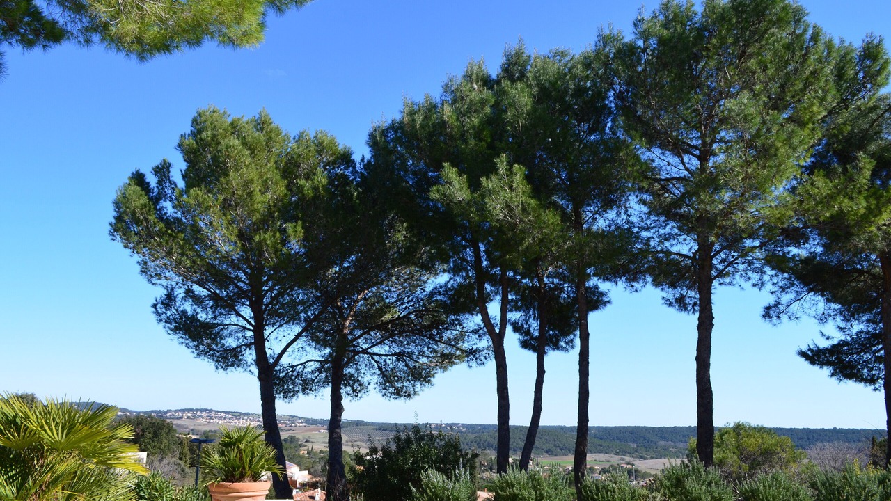 Photo of Outdoor in Combaillaux