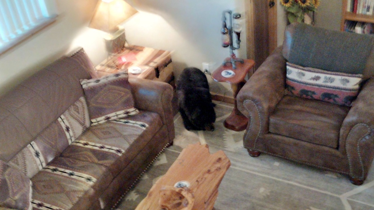 Photo of Livingroom in Durango