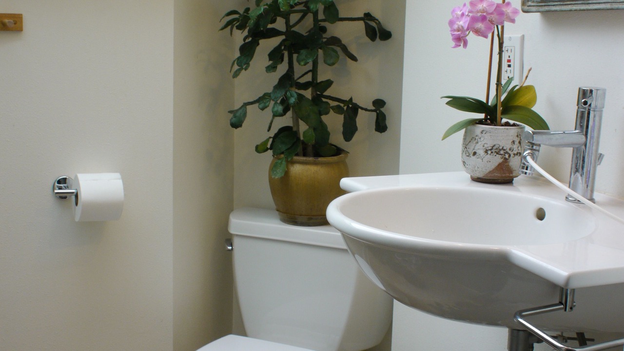 Photo of Bathroom in Richmond