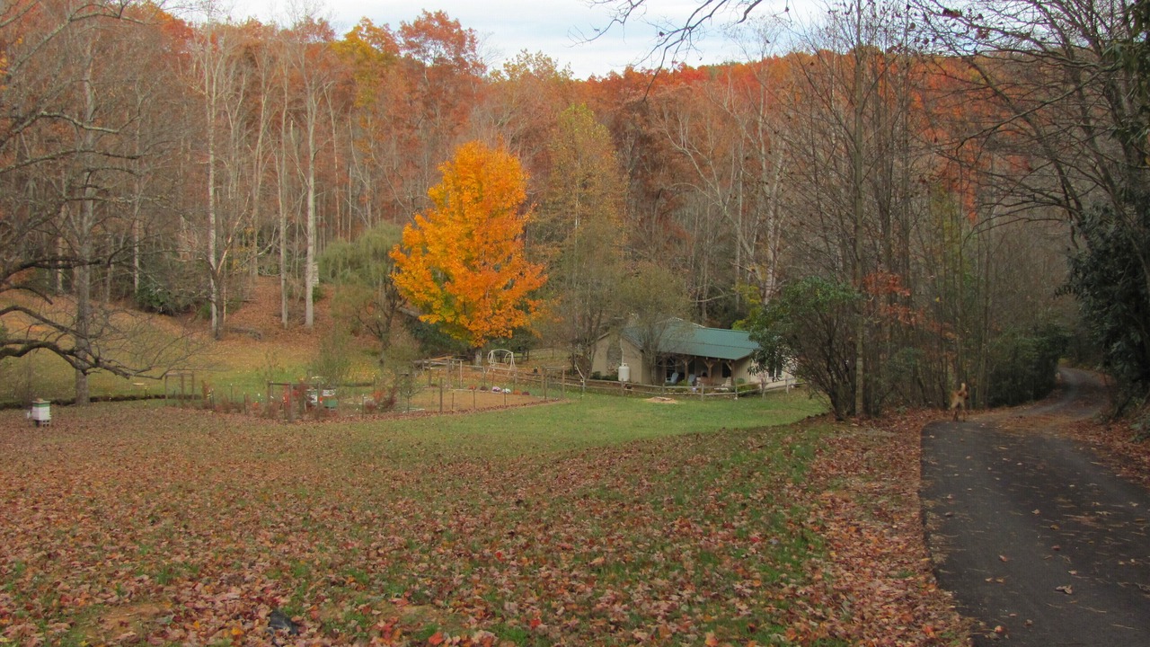 Photo of Outdoor in Vesta
