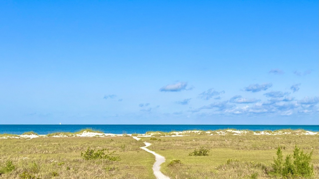 Photo of Others in Anna Maria
