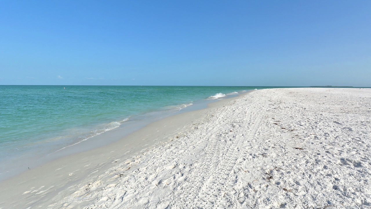 Photo of Others in Anna Maria