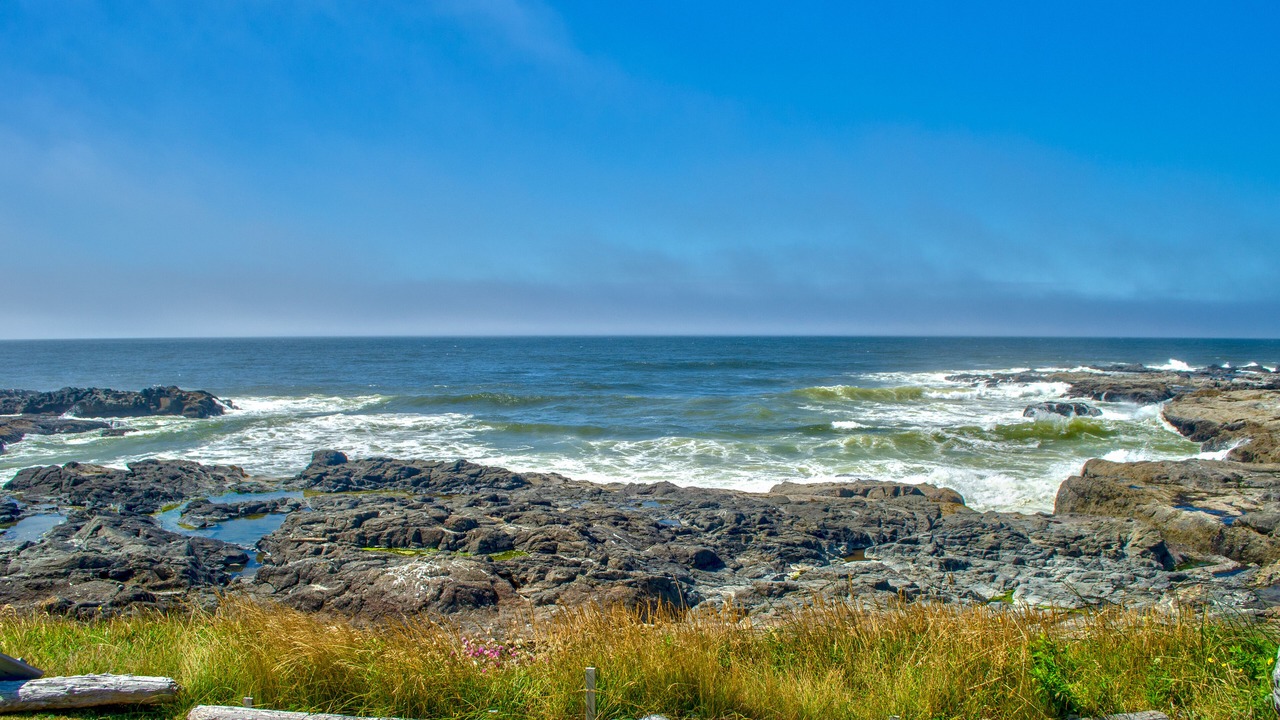 Photo of Others in Yachats