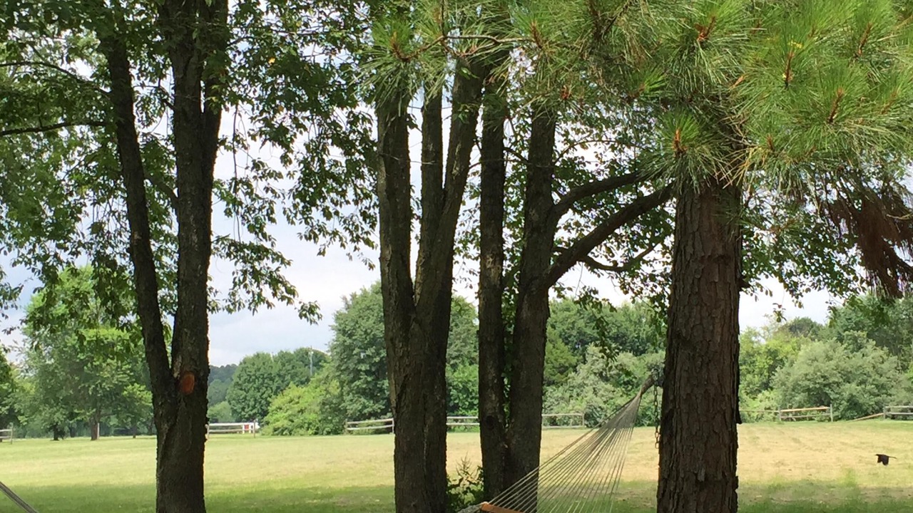 Photo of Outdoor in Trappe