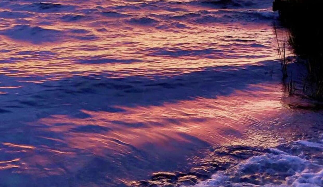 Photo of Others in Trappe