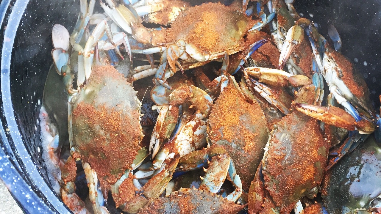 Photo of Others in Trappe