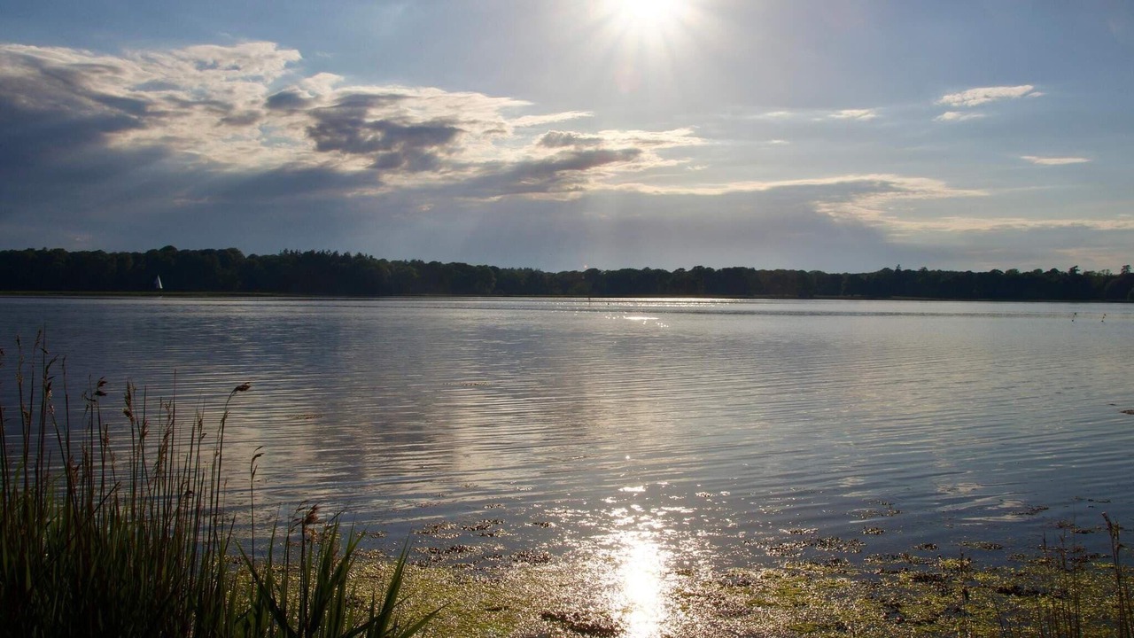 Photo of Others in Nysted