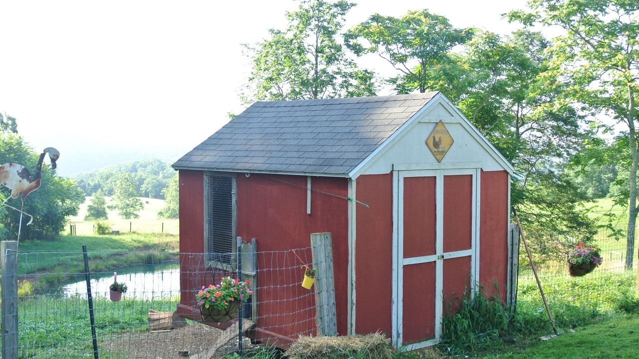 Photo of Outdoor in Lexington