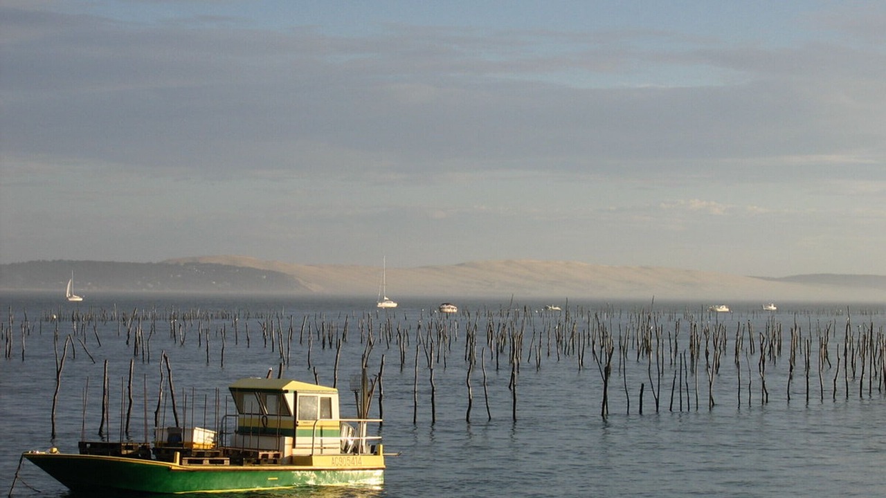 Photo of Others in Arcachon