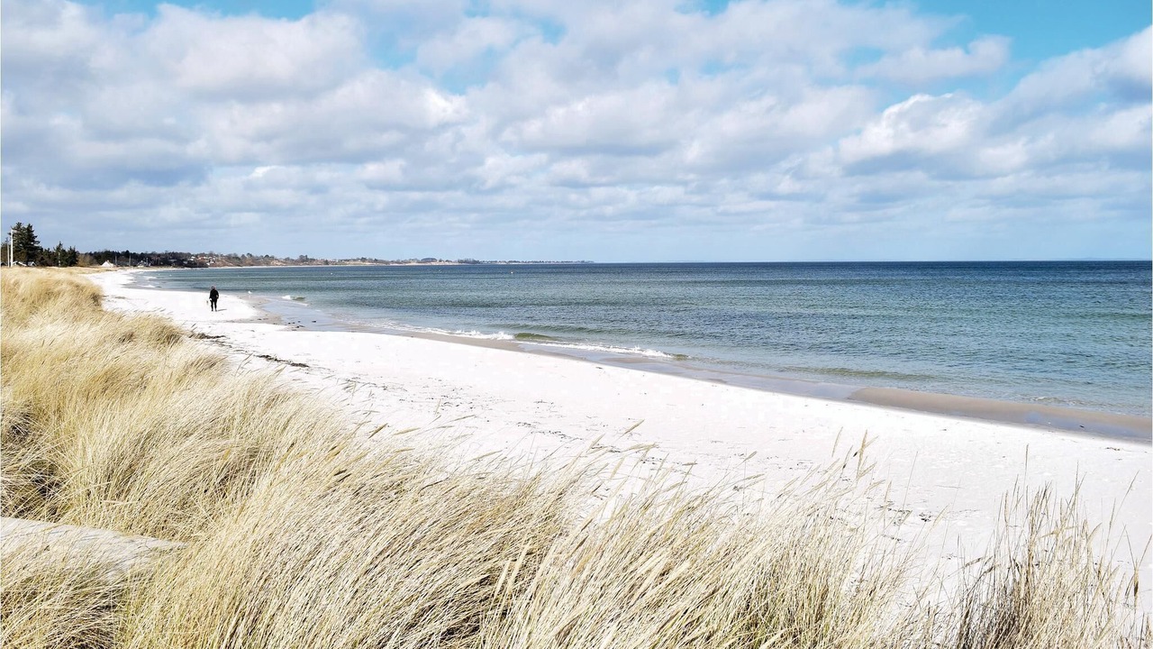 Photo of Others in Saksild Strand