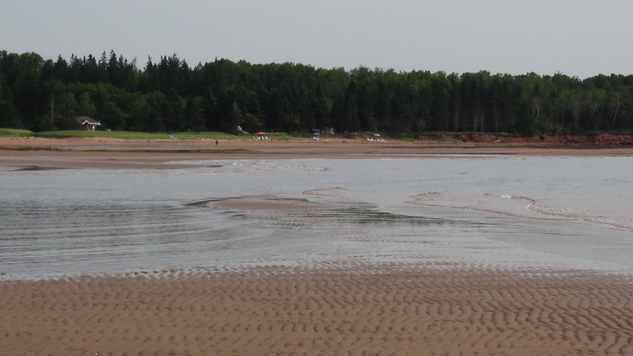 Photo of Others in Wood Islands