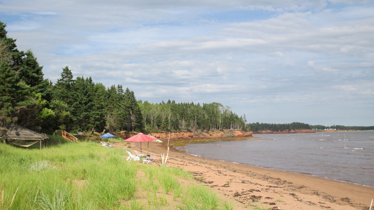Photo of Others in Wood Islands