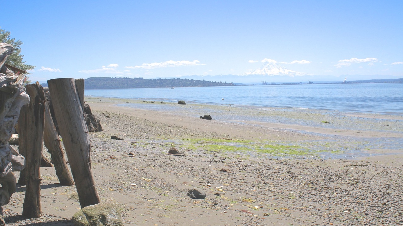 Photo of Others in Vashon Island