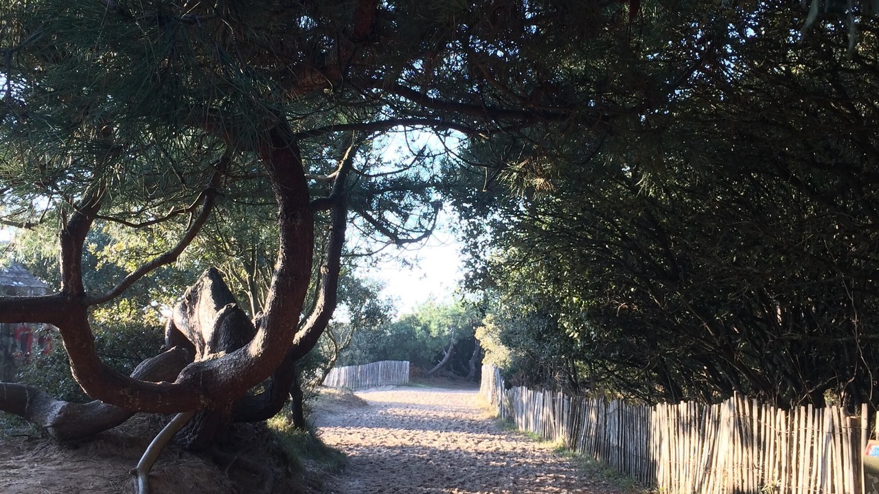 Photo of Outdoor in Bourgenay